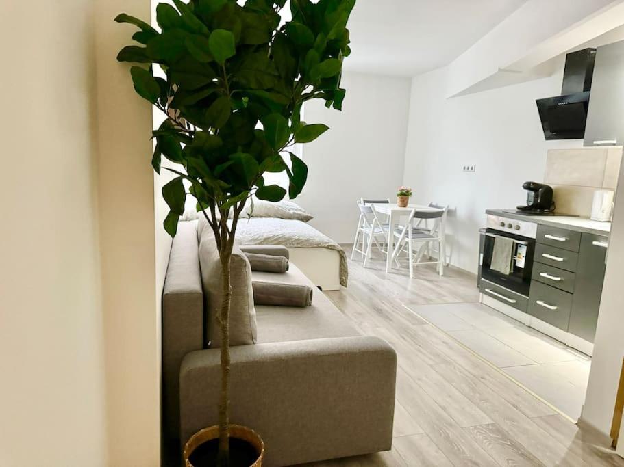 Stylish Schonbrunn Apartments - Free Underground Parking Виена Екстериор снимка