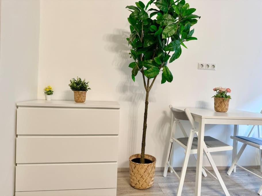 Stylish Schonbrunn Apartments - Free Underground Parking Виена Екстериор снимка